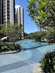 Lakeville (D22), Condominium #533624751